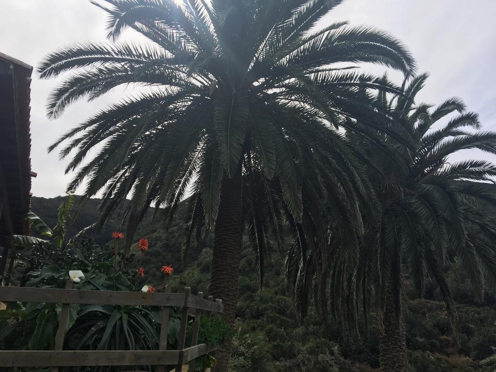 Casa Rural El Rincon De Antonia Agulo Kültér fotó
