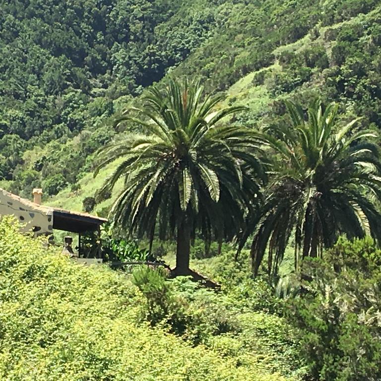Casa Rural El Rincon De Antonia Agulo Kültér fotó