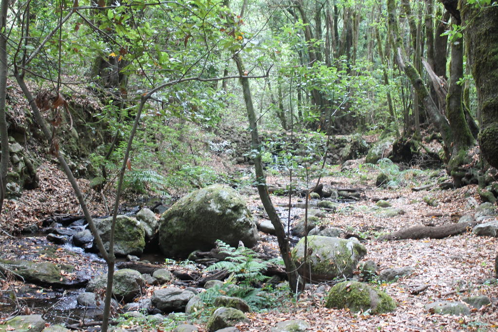 Casa Rural El Rincon De Antonia Agulo Kültér fotó
