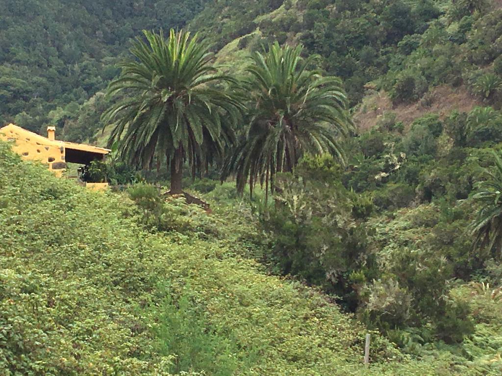 Casa Rural El Rincon De Antonia Agulo Kültér fotó
